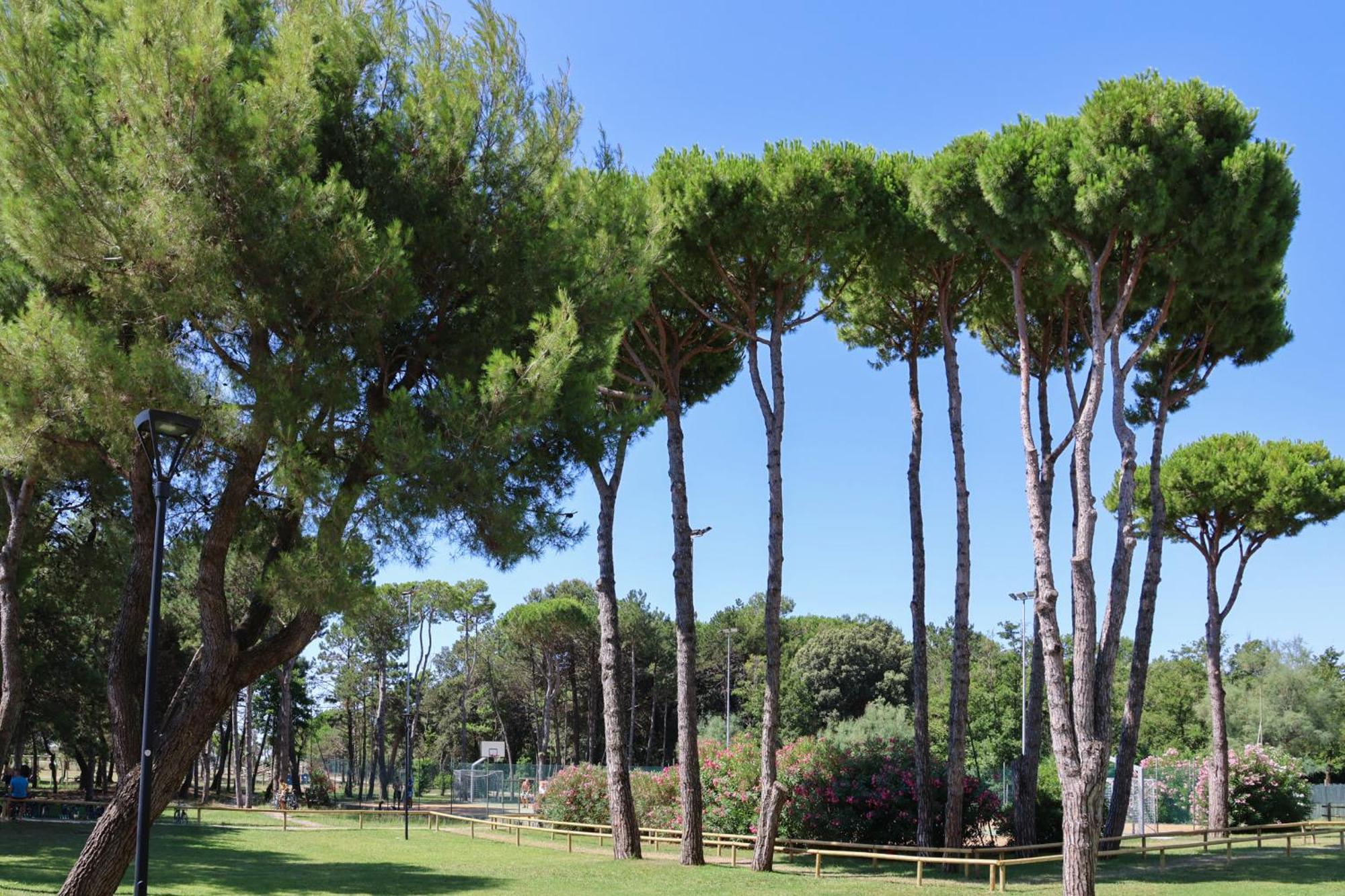 Il Tridente Hotel Bibione Exterior photo